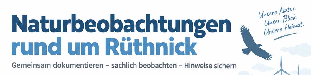 Windkraft Beobachten