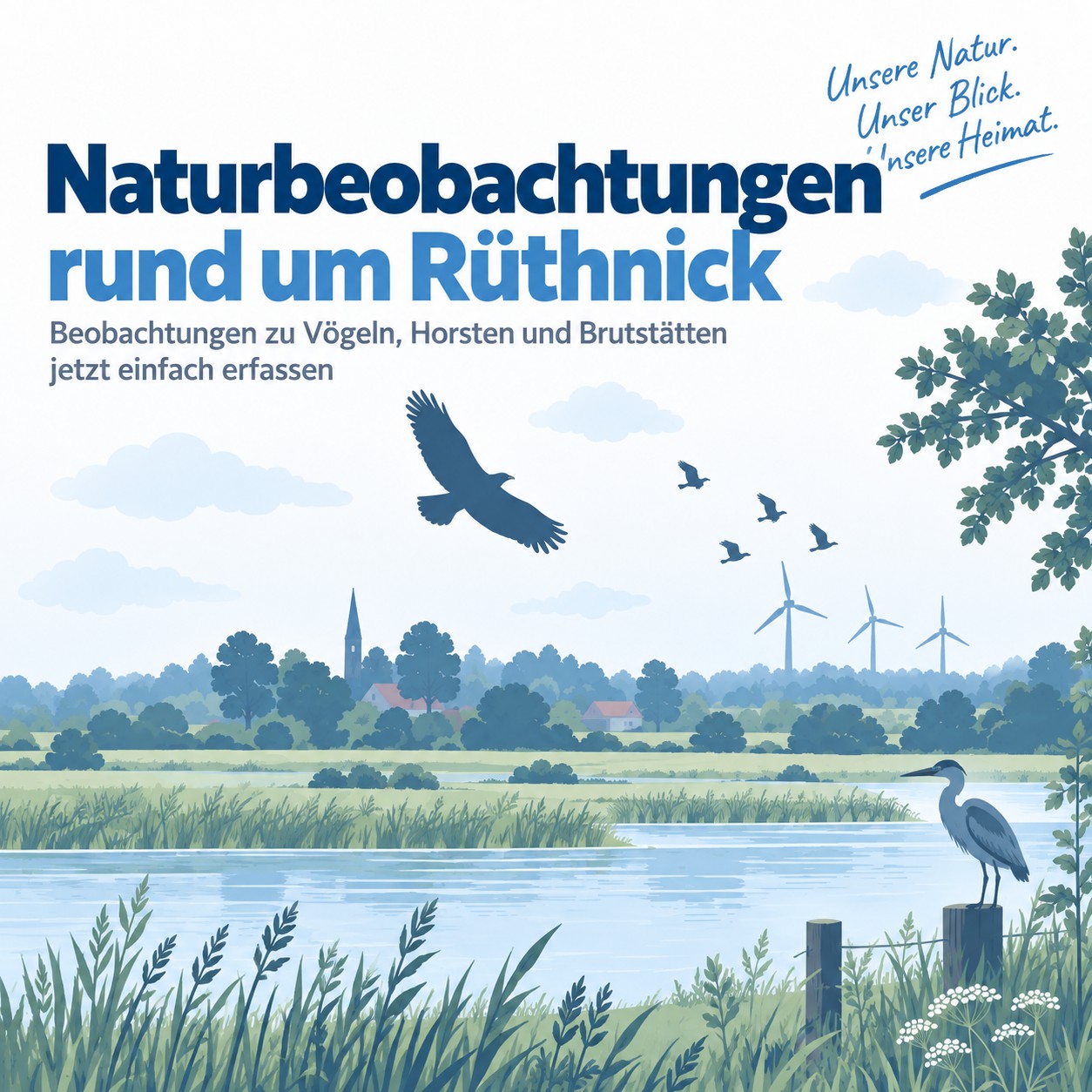Gut Dokumentiert - Naturbeobachtung in Rüthnick